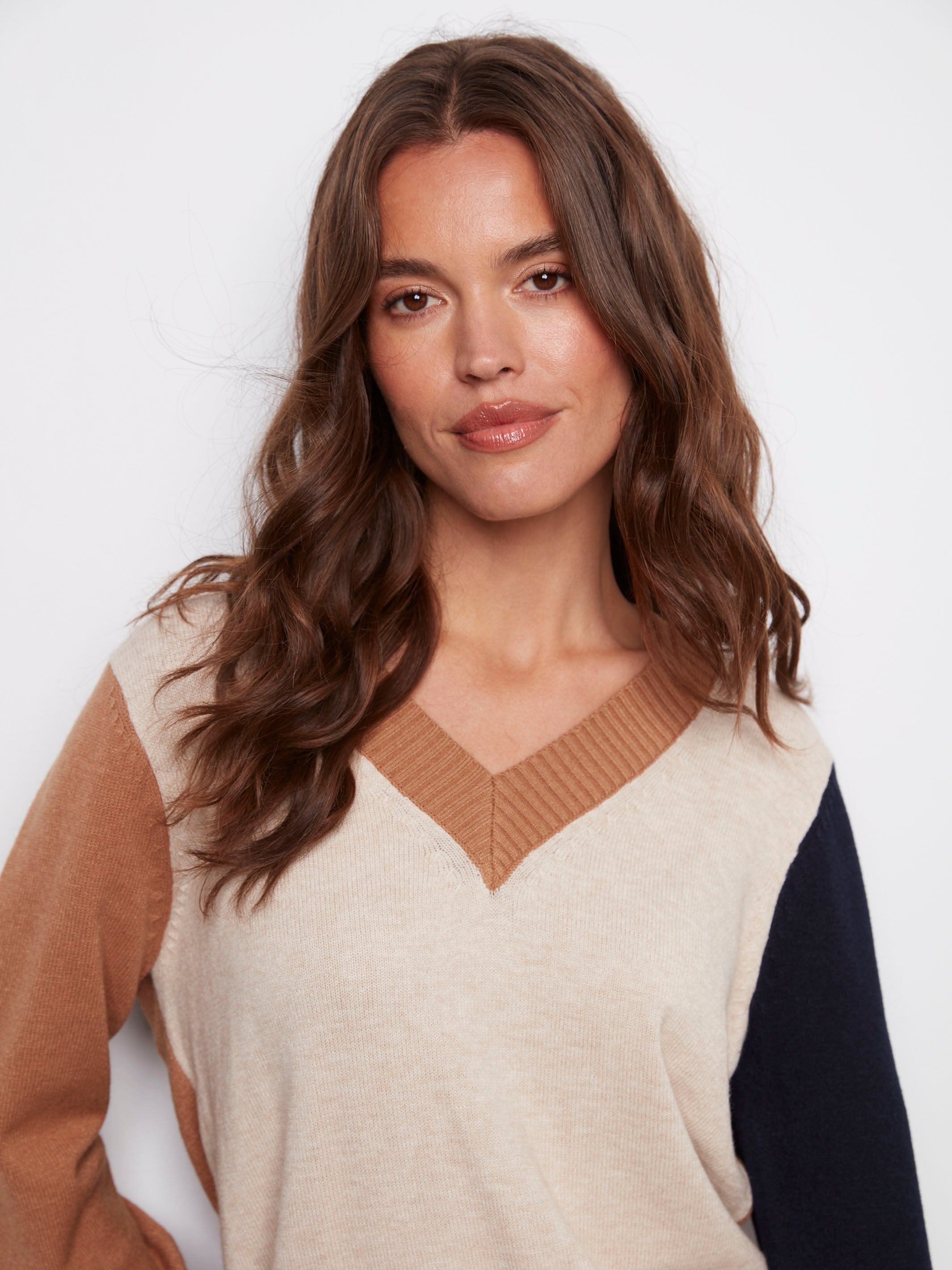 Chic colorblock sweater with contrasting sleeves by Charlie B.
